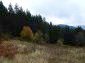 The land