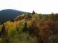 The land