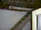 Internal staircase