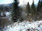 The land