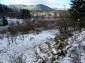The land