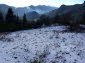The land