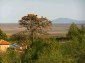 The view from the house