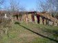 The yard