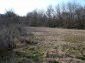 The land
