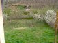 The garden