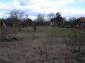 The plot of land