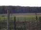 Near the plot of land