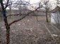 The yard