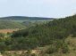 The view from the propety