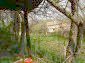 The garden