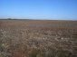 Lands for sale near Yambol