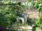 In the garden
