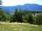 The land