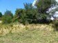 The land
