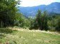The land