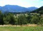 The land