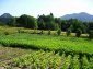 Lands for sale near Smolyan,Pamporovo