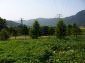 The land