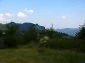 The land
