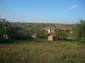 The yard
