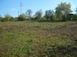 The yard