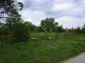 The land