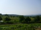 Viewing