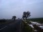 near teh land