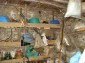 The basement