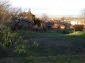 The yard