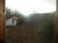 The garden