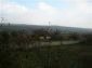 The view from the propertyt