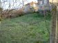 The yard