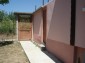 The garden
