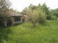 The garden