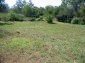 The yard
