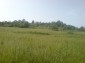 Lands for sale near Lovech