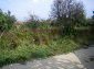 The road leading to the property