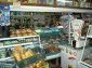 The shop inside