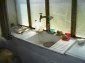 In the house