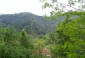 Viewing