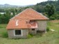 The house