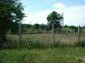 The land