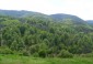 Viewing