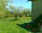 The garden of the property