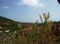 The view near the property