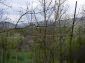 near the property