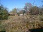 Th egarden