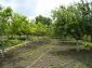 The garden